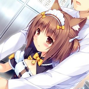 Meet your Posher, Brooklyn